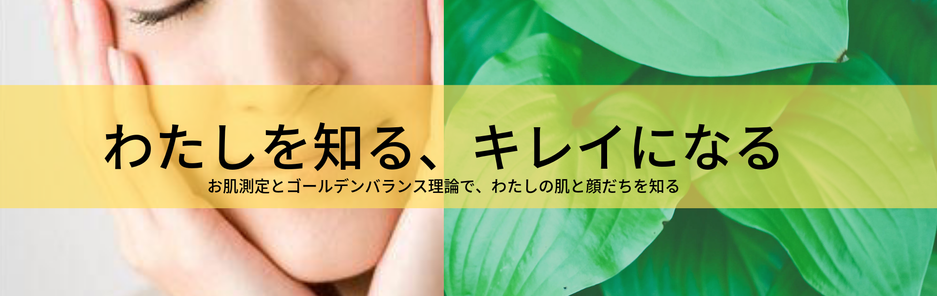 肌測定　お顔立ち分析